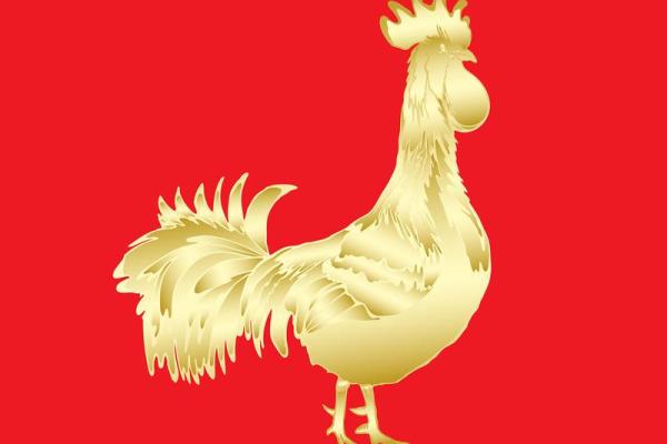 属鸡人2024年全年运势1981年多大了 属鸡人2024年全年运势1981年财运方位