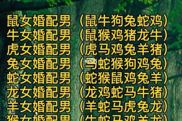 生肖婚姻更佳配对表大全
