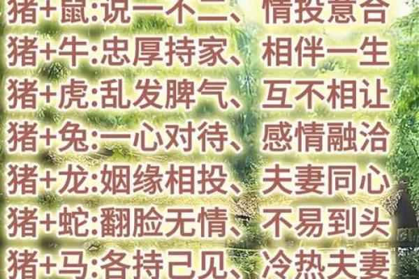 生肖婚姻更佳配对表大全