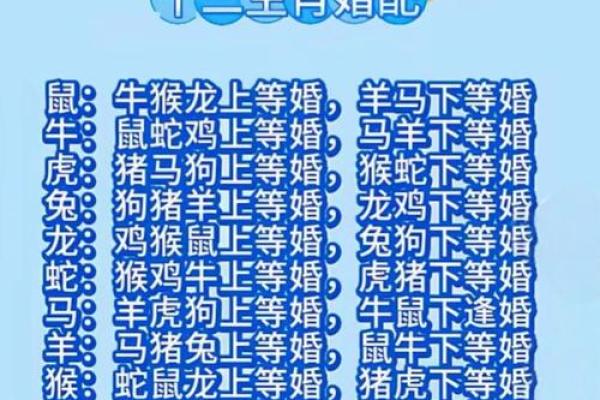 最准的12生肖配对表男龙女兔马 属相婚配男龙女兔
