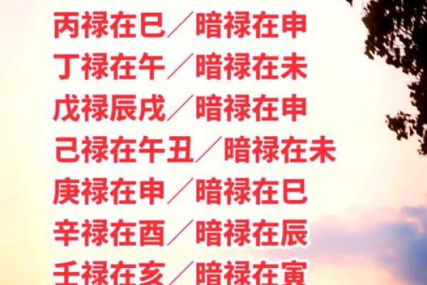 建禄格八字