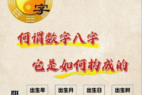 八字智慧