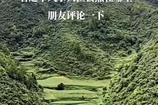 风水：调理好风水能预防疾病，不信你看看这几条实例！_1