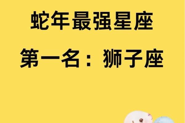 陶白白星座运势每月