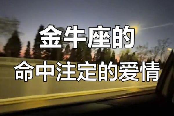 金牛白羊双向星座解析及相克匹配指南