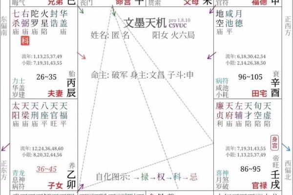 紫薇斗数紫薇分宫论