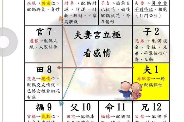 紫薇斗球数排盘