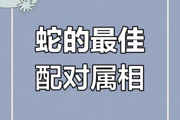 蛇跟什么生肖配对最好 生肖蛇最佳配对