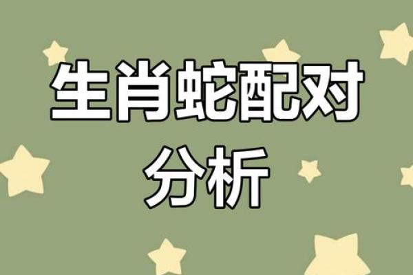 蛇跟什么生肖配对最好 生肖蛇最佳配对