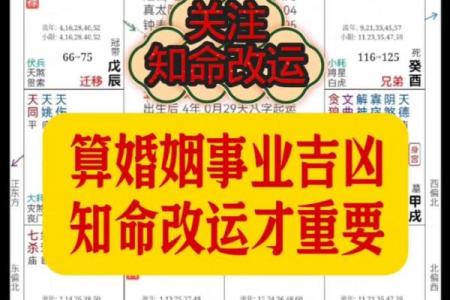 会紫薇斗数的人