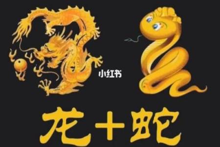 男龙女蛇八字合吗,蛇和龙在一起对谁不利