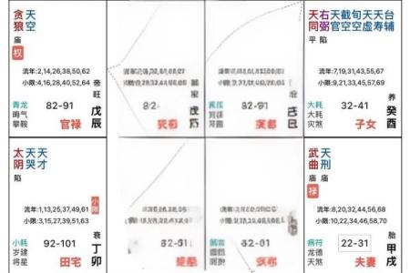 紫薇斗数文章