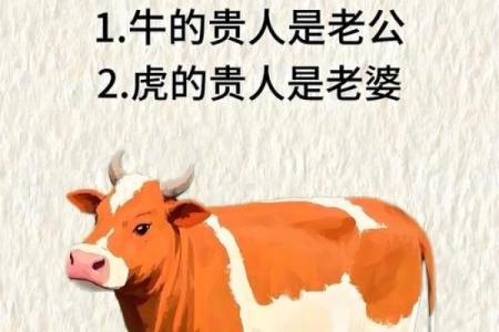 牛跟什么生肖配对最好 生肖牛最佳配对