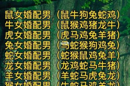 生肖婚姻更佳配对表大全
