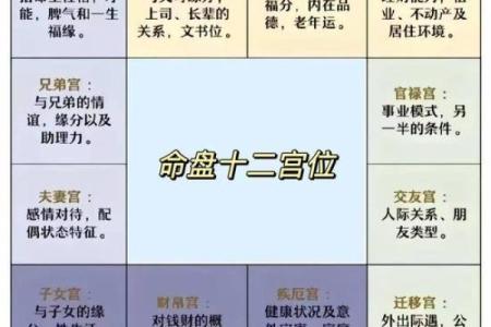 紫薇斗数怎么看命盘