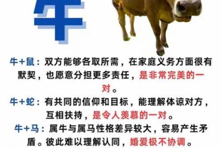 生肖配对属牛属兔的婚姻怎么样