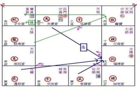 紫薇斗数中忌庙是什么意思