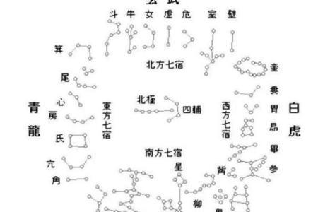 紫微斗数疾厄宫看健康情况
