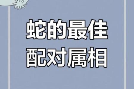 蛇跟什么生肖配对最好 生肖蛇最佳配对