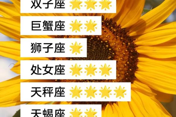 十二星座的养生运势图表