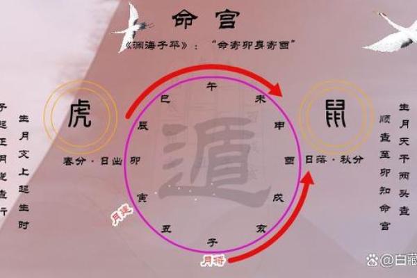 如何八字排盘