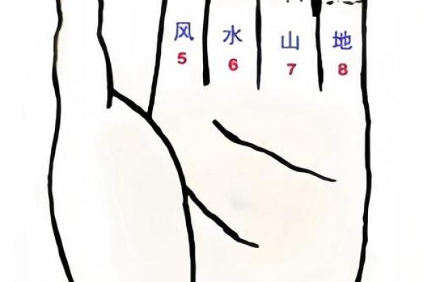 梅花易数排盘怎么解