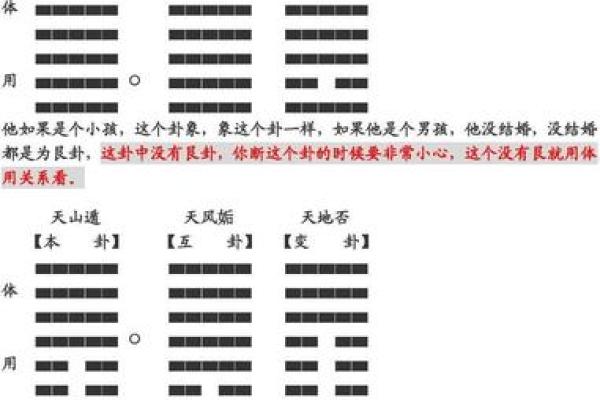 梅花易数排盘怎么解