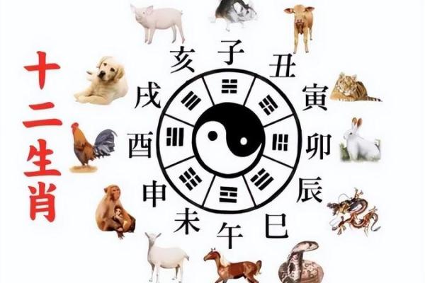 生辰八字诅咒