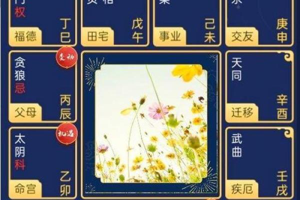 紫薇斗数亨利