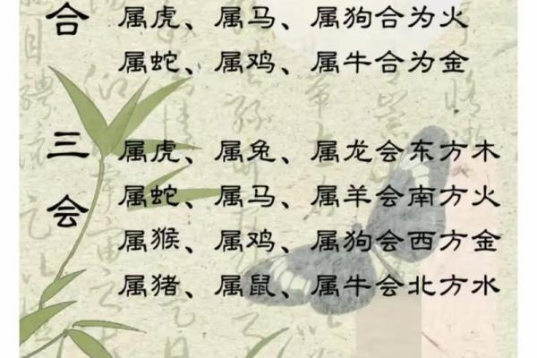 有助男人事业运的生肖配对