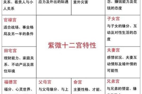 紫薇斗数测孕育