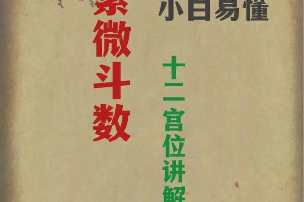 紫薇斗数看你的动力