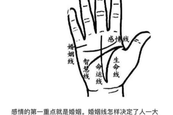 图解：手相手腕线算命