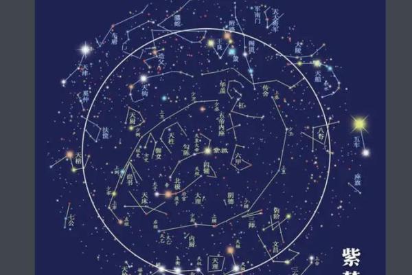 紫微斗数乱国 紫微斗数太准？