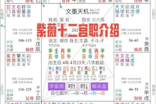 紫薇斗数免费排盘测试