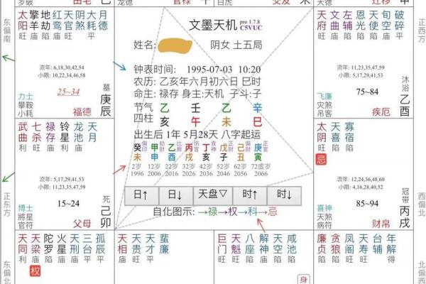 中国紫薇斗数排盘