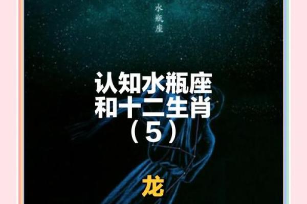 十二星座更适合什么龙