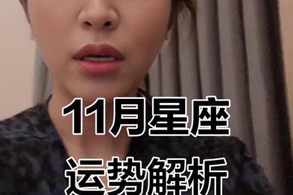 星座11月运势