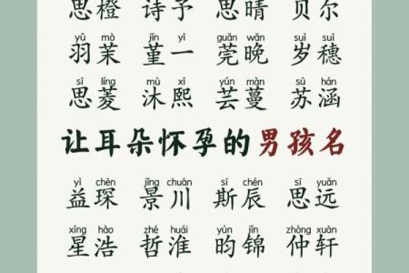 2019年3月25号辰时出生的男孩起名方法姓名