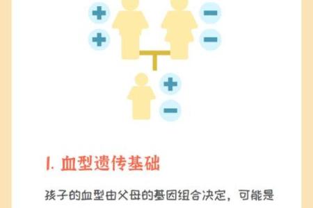 a型血和a型血会生出什么血型