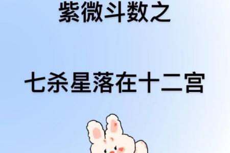紫微斗数十四主星：七杀星概论
