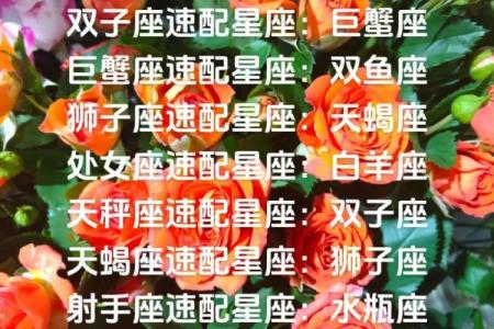 白羊座配对处女座的配对指数多少合适