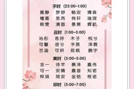 早上8点出生的属兔男孩如何取名姓名
