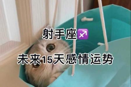 观音灵签前世姻缘今生遇