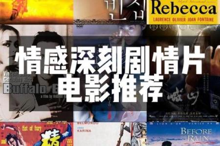 适合血型看的情感电影