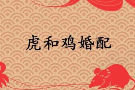 有助男人事业运的生肖配对