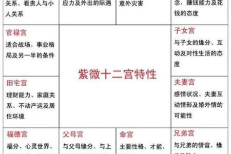 紫薇斗数测孕育