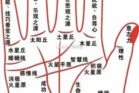 图解：手相手腕线算命