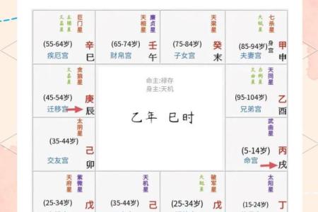 紫薇斗数免费排盘测试