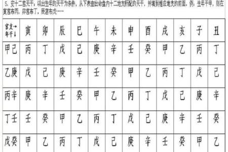 中国紫薇斗数排盘